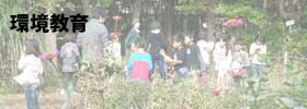 環境教育