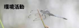 環境活動