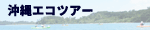 沖縄エコツアー