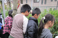 カモフラージュ