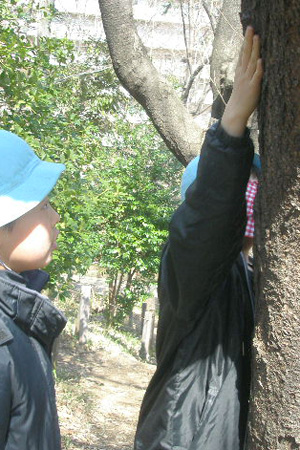 わたしの木、ぼくの木授業風景