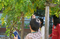 フィールドビンゴ