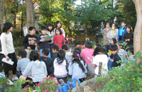 学校の木の紹介