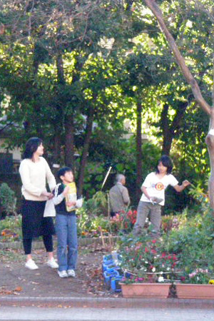 学校の木を決めよう授業風景