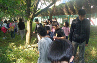 フィールドパターン