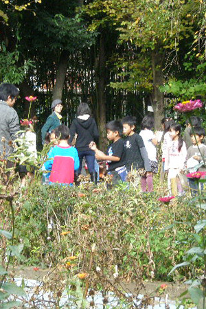 季節の自然で遊ぼう授業風景