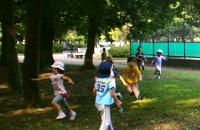 木のおにごっこ